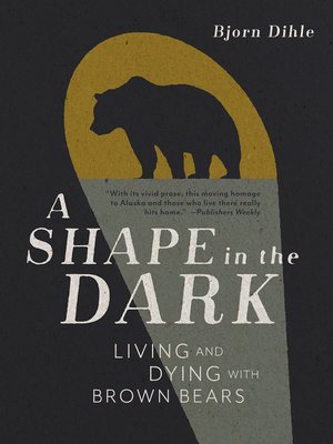 cover image of A Shape in the Dark